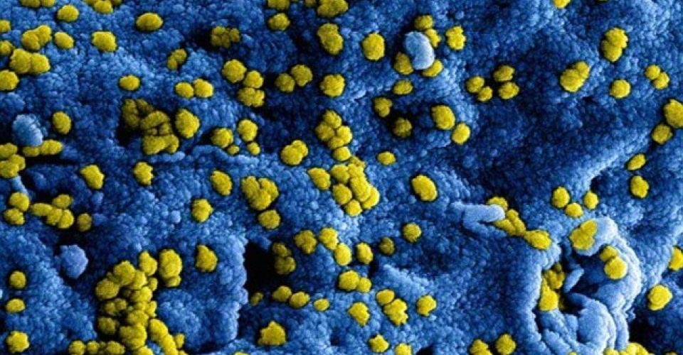 Coronavirus | JPR Advocaten